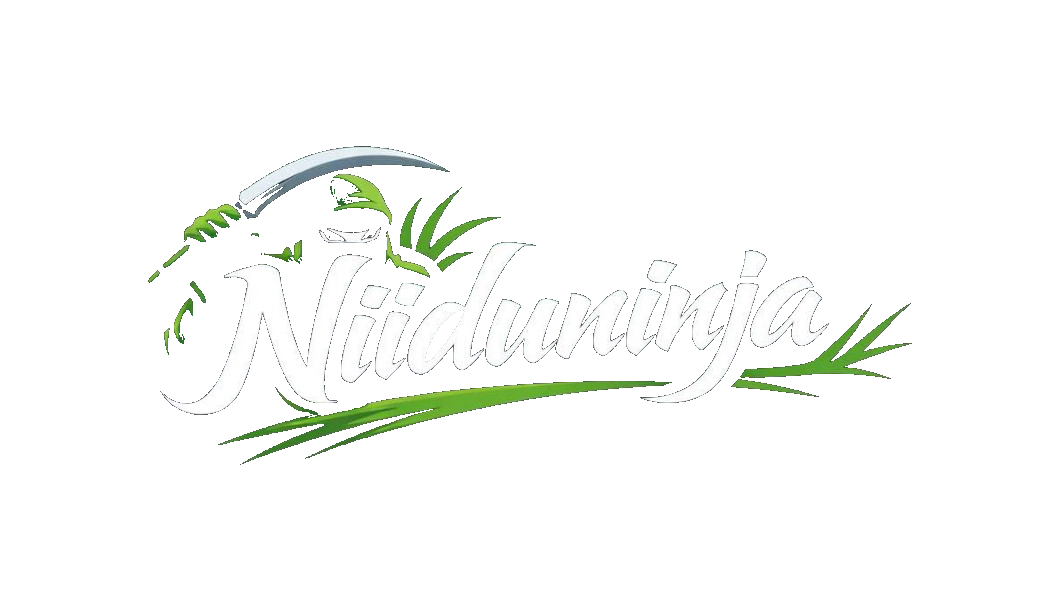 NiiduNinja